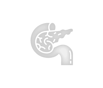 Endocrinología